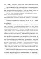 Informacinių technologijų samprata. Informacinių technologijų evoliucija 8 puslapis