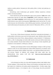 Informacinių technologijų vaidmuo dalykinėje komunikacijoje 13 puslapis