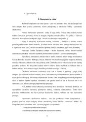 Informacinių technologijų vaidmuo dalykinėje komunikacijoje 6 puslapis