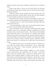 Institucionalizmas 3 puslapis