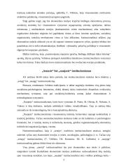 Institucionalizmas 4 puslapis
