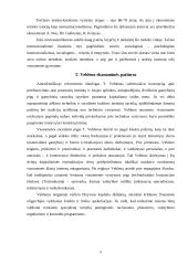 Institucionalizmas 6 puslapis