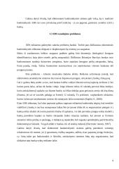 Internetinė bankininkystė 4 puslapis