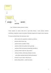 Internetinė bankininkystė 7 puslapis