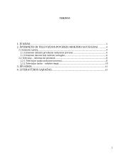 Interneto  bei televizijos poveikis mokinio saviugdai 2 puslapis