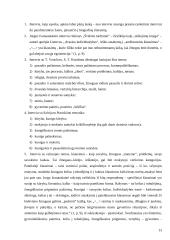 Interviu. J. Ivanauskaitė "Švelnūs tardymai" 13 puslapis