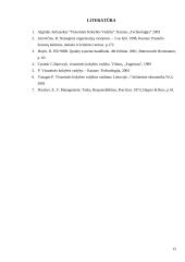 ISO 9000 standartų šeima 12 puslapis