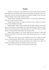 Ispanijos kultūra ir etiketas 15 puslapis