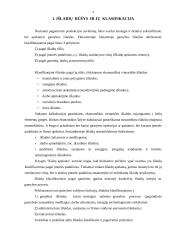 Išlaidų  rūšys 2 puslapis