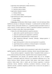 Išlaidų  rūšys 3 puslapis