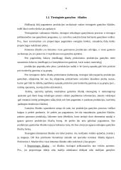 Išlaidų  rūšys 4 puslapis