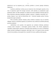 Išlaidų  rūšys 6 puslapis