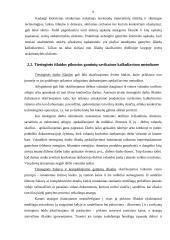 Išlaidų  rūšys 8 puslapis