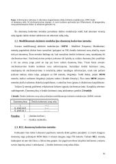 Išorinių atminčių sistema: fiziniai įrašo tankio didinimo būdai 11 puslapis