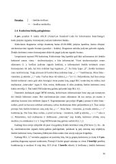 Išorinių atminčių sistema: fiziniai įrašo tankio didinimo būdai 13 puslapis