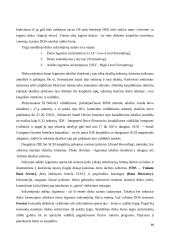 Išorinių atminčių sistema: fiziniai įrašo tankio didinimo būdai 18 puslapis