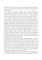 Išorinių atminčių sistema: fiziniai įrašo tankio didinimo būdai 6 puslapis