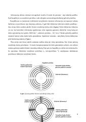 Išorinių atminčių sistema: fiziniai įrašo tankio didinimo būdai 8 puslapis