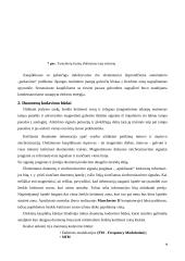 Išorinių atminčių sistema: fiziniai įrašo tankio didinimo būdai 9 puslapis