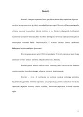 Ištvermė sporte 12 puslapis