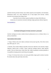 Ištvermė sporte 5 puslapis