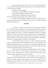 Įvaikinimo sąlygos 11 puslapis