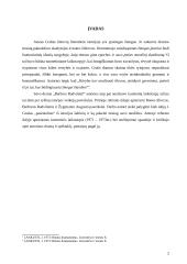 J. Grušas "Barbora Radvilaitė" - analizė 2 puslapis