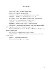 J. Grušas "Barbora Radvilaitė" - analizė 12 puslapis