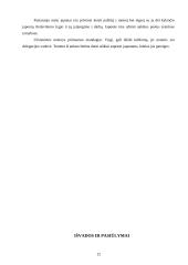 Japonijos kultūros ypatumai versle 11 puslapis