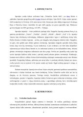 Japonijos kultūros ypatumai versle 3 puslapis