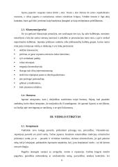 Japonijos kultūros ypatumai versle 5 puslapis