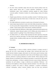 Japonijos kultūros ypatumai versle 8 puslapis