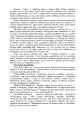 Jėgos panaudojimas 4 puslapis