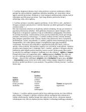 Jono Laužiko gyvenimas, pedagoginės idėjos ir veikla 14 puslapis