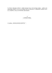 Jono Laužiko veikla 12 puslapis