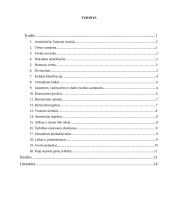 Jungtinių Amerikos Valstijų (JAV) tarpukultūrinė komunikacija dalykiškuose santykiuose