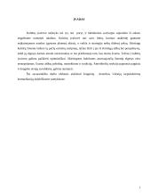 Jungtinių Amerikos Valstijų (JAV) tarpukultūrinė komunikacija dalykiškuose santykiuose 2 puslapis