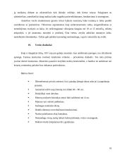 Jungtinių Amerikos Valstijų (JAV) tarpukultūrinė komunikacija dalykiškuose santykiuose 11 puslapis