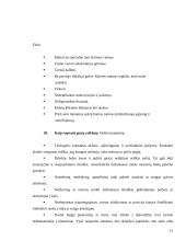 Jungtinių Amerikos Valstijų (JAV) tarpukultūrinė komunikacija dalykiškuose santykiuose 12 puslapis