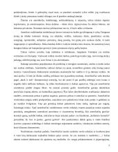 Jungtinių Amerikos Valstijų (JAV) tarpukultūrinė komunikacija dalykiškuose santykiuose 6 puslapis