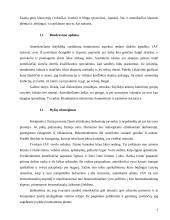 Jungtinių Amerikos Valstijų (JAV) tarpukultūrinė komunikacija dalykiškuose santykiuose 8 puslapis