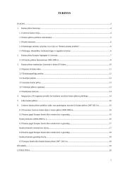 Kaimo plėtros politikos formavimasis ir raida Lietuvoje bei Europos Sąjungoje 2 puslapis