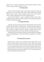 Kaimo plėtros politikos formavimasis ir raida Lietuvoje bei Europos Sąjungoje 13 puslapis