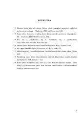 Kaimo plėtros politikos formavimasis ir raida Lietuvoje bei Europos Sąjungoje 20 puslapis