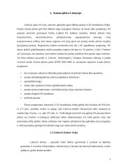 Kaimo plėtros politikos formavimasis ir raida Lietuvoje bei Europos Sąjungoje 4 puslapis