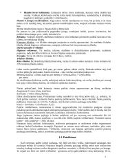 Kaimo turizmas pajūryje 2 puslapis