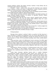 Kaimo turizmas pajūryje 11 puslapis