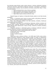 Kaimo turizmas pajūryje 13 puslapis