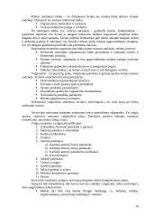 Kaimo turizmas pajūryje 14 puslapis