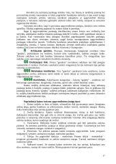 Kaimo turizmas pajūryje 17 puslapis